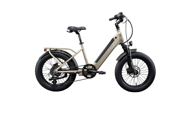 Aurelia 20" De Scheemaeker